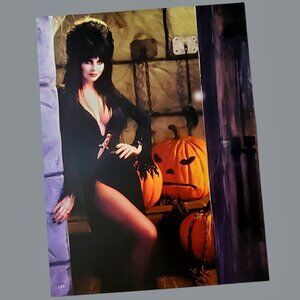 ELVIRA Mistress Of The Dark Wall Poster Halloween Pumpkins